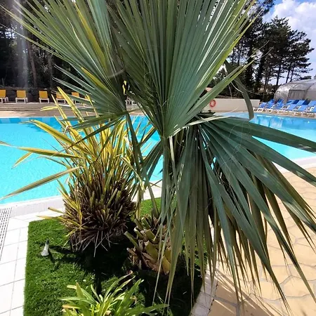Holiday home Monoi - Camping Du Bois Masson *